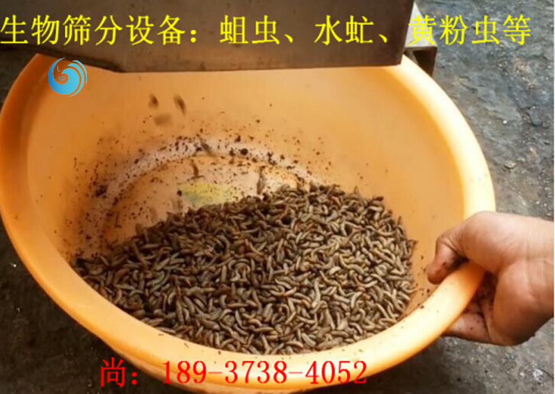 蛆虫筛选3层欧美性爱香蕉视频